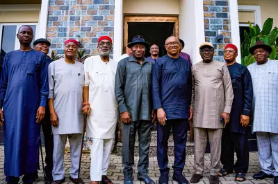 Peter Obi Reveals Meeting with Jonathan on Nigeria's Future