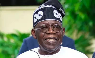 Presidency Clarifies Tinubu's ₦3.3 Trillion Power Sector Debt Settlement Plan