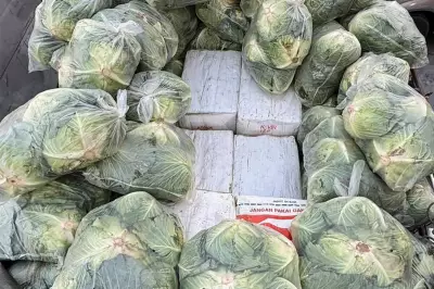 Thai Police Uncover 1.6 Tonnes of Drugs Concealed Under Cabbages in Major Bust