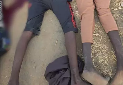 Troops Neutralise Four Terrorists, Recover Arms in Sambisa Forest