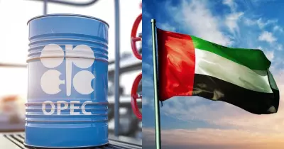UAE exits OPEC after nearly 60 years in major oil market shake-up