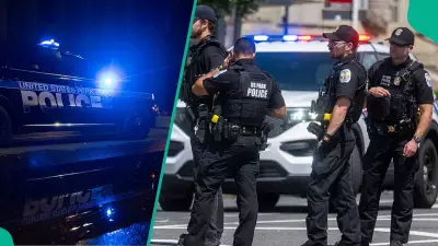 US-Based Nigerian Man Arrested in Los Angeles, Faces Deportation for Crimes