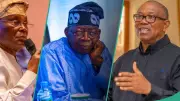 APC Chieftain Explains How Tinubu Gains from ADC's Internal Crisis Ahead of 2027 Elections