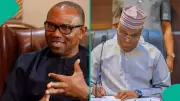 Atiku Pledges Support for Consensus Candidate, Including Peter Obi in ADC Coalition