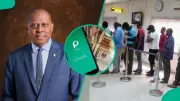CBN, Banks, Fintechs Launch PSPC Platform to Fix Nigeria's Payment System Gaps