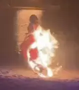 Dancer Engulfed in Flames During Zoo Performance, Jumps into River to Survive