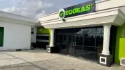 Egoras to Launch Cube Phone for SME Capital Market Access in Nigeria