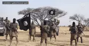ISIS Claims Responsibility for Deadly Adamawa Attack Killing at Least 29