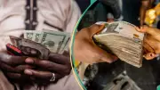 Naira Gains 0.92% to N1,343 as Dollar Liquidity Surges 260% in FX Market