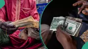 Naira Gains Against Pound and Euro, Holds Steady Versus Dollar in FX Markets