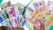 Naira Ranks as Africa's Second Best-Performing Currency Against Dollar in 2026