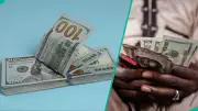 Naira Strengthens to N1,355.25/$ in Official Market, Best Rate in Weeks