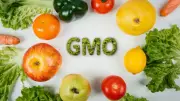 NBRDA Reassures Nigerians on Safety of Genetically Modified Crops