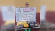 NDLEA Arrests 93-Year-Old Man, Doctor in Nationwide Drug Crackdown