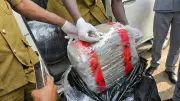 NDLEA Busts Major Illicit Drugs Warehouse in Edo, Arrests Suspect