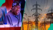 NESG Urges Government to Amend Tax, PIA, and Electricity Laws for Business Growth