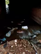 Newborn Baby Found Dead in Stream in Gboko, Benue State