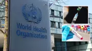 Nigeria Among 10 Nations Driving Global Hepatitis Deaths in 2024: WHO