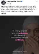 Nigerian Man Criticizes Concept of 'Good Wife' as Voiceless Housemaid