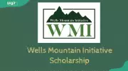 Nigerian Students Eligible for Wells Mountain Initiative Scholarship: Key Details