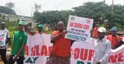 Nigerian University Non-Teaching Staff to Begin Indefinite Strike Friday