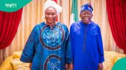 Senator Iyabo Obasanjo Reveals Key Talks with President Tinubu on Leadership and Development