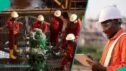 Shell Opens Applications for 2026 Graduate Programme in Nigeria, Seeks Future Energy Leaders