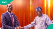 Tinubu Appoints Taiwo Oyedele as New Finance Minister After Sacking Wale Edun