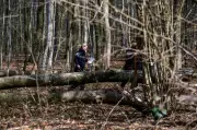 Tragic Easter Egg Hunt in German Forest Claims Lives of Mother and Infant