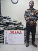 Two Lagos traders jailed 5 years for trafficking 55.6kg cannabis