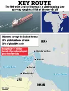 US Seizes Iran-Linked Ship with 'Gift from China' as Trump Confronts Xi Over Ceasefire