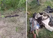 Wild elephant kills man, leaves another missing in Oyo community