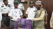 Wildlife Trade Fuels Disease Spread to Humans, New Study Warns