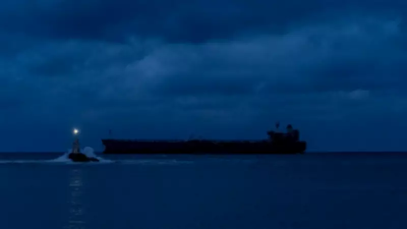 Russian drone hits Chinese cargo ship in Black Sea near Odesa