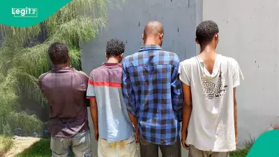 Adamawa Police Arrest Several Suspects in Crackdown on Child Sexual Abuse