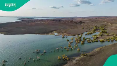 Africa Will Split Apart, New Ocean to Form, Scientists Confirm