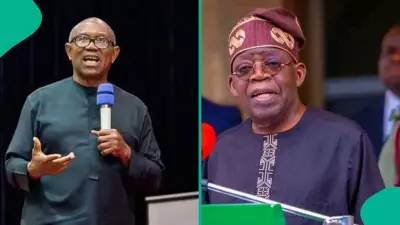 APC Chieftain Nlemigbo Urges Igbo Voters to Back Tinubu in 2027