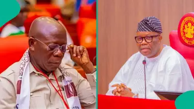 APC Senatorial Primaries: Full List of Winners and Losers Emerge