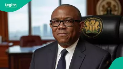 APC Slams Peter Obi as 'Political Rolling Stone' After Party Switch