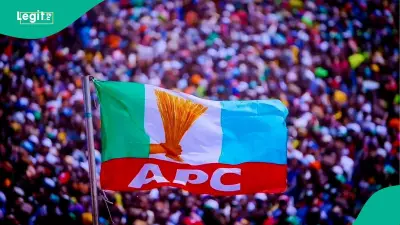 APC State Assembly Primaries: List of Top Losers Emerges