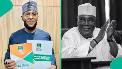 Atiku Abubakar's Son Adamu Enters 2027 Senatorial Race in Adamawa South