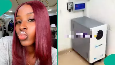 Businesswoman Buys 15kW Solar System Instead of Car, Shows Off Online