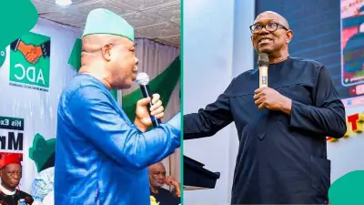 Ex-Imo Gov Ihedioha Stays in ADC, Wishes Peter Obi Well in NDC