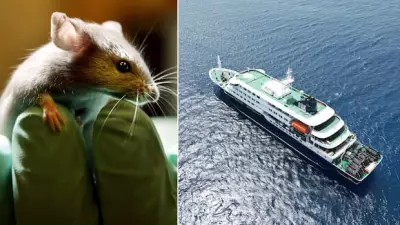 Hantavirus Outbreak Classified as Level 3 Emergency by US CDC