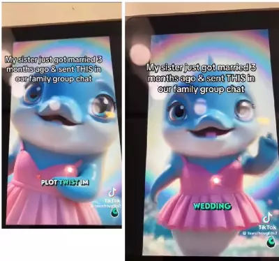 Lady Informs Family of Divorce via Cartoon 3 Months After Lavish Wedding