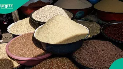 NBS Data Reveals Most Expensive, Cheapest Places to Buy Rice and Beans in Nigeria