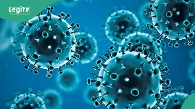 NCDC Lists 7 Steps Nigerians Must Take to Avoid Hantavirus Amid Global Outbreak