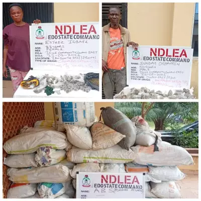 NDLEA Seizes 498kg Cannabis Hidden in Edo Shrine, Arrests Two Suspects