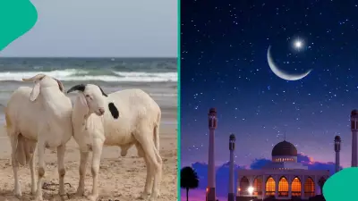 Nigeria Anticipates Eid Al-Adha 2026 Public Holiday on May 27