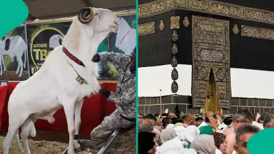 Nigerian Pastor Claims Eid al-Adha Belongs to Christians in Viral Video